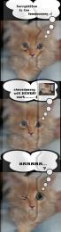 furrykitten